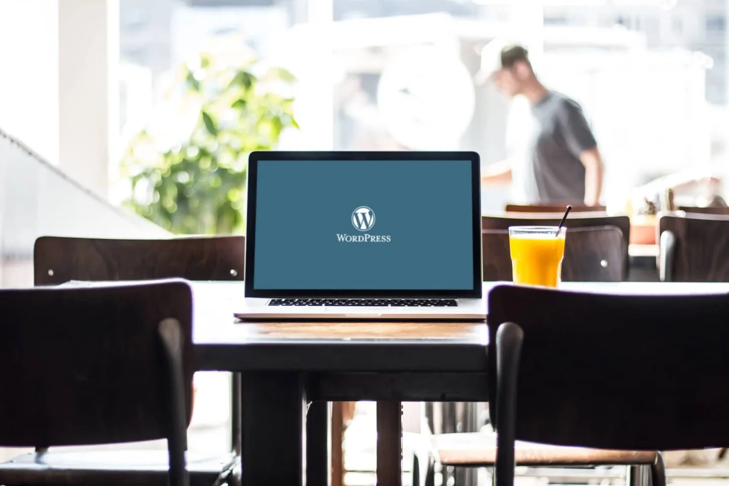 wordpress buat website