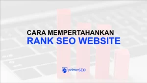 rank seo website